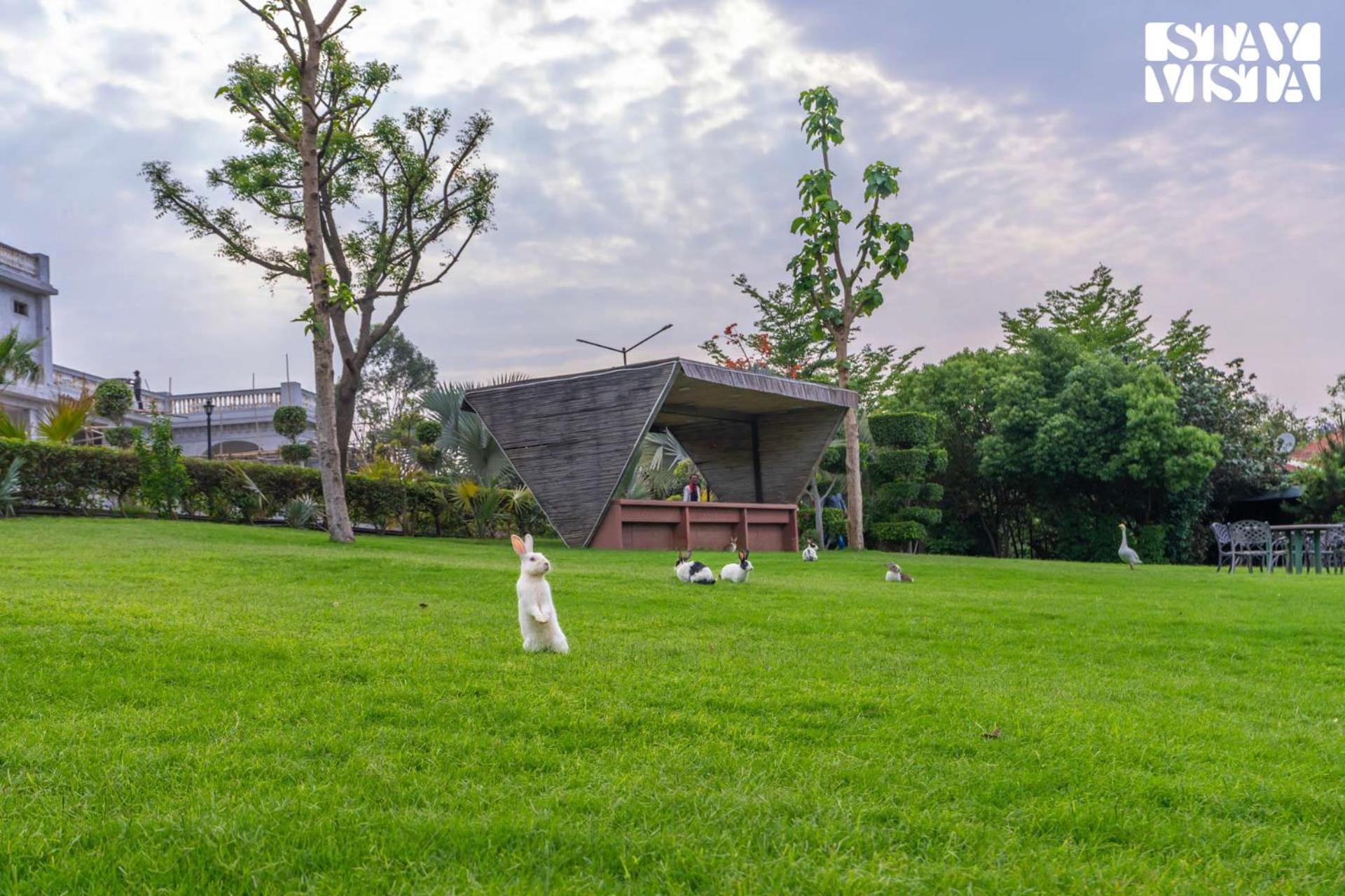 Stayvista At Maple Farms With Pool, Bbq & Bonfire Sohna Bagian luar foto